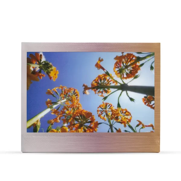 Instax wide brushed metallics - Imagen 7