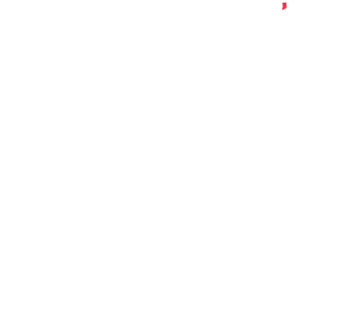 Petitfellas 2
