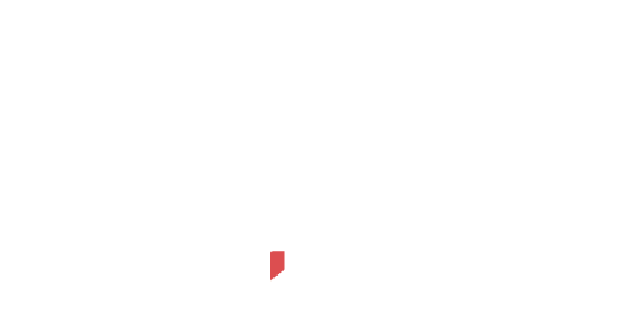 Instax Logo